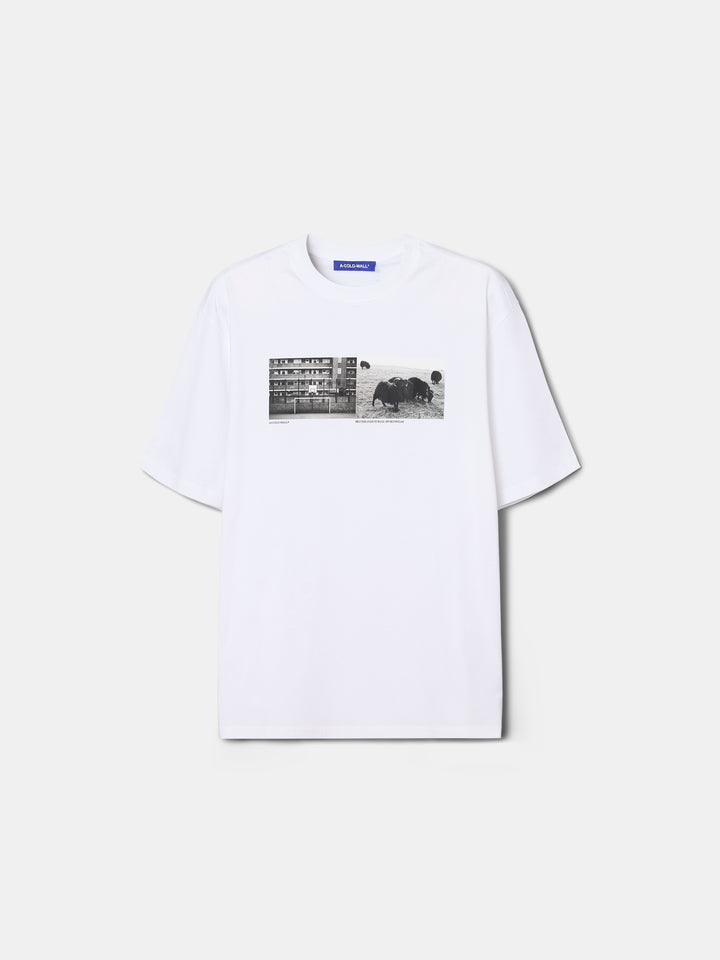Fenn T-Shirt Optic