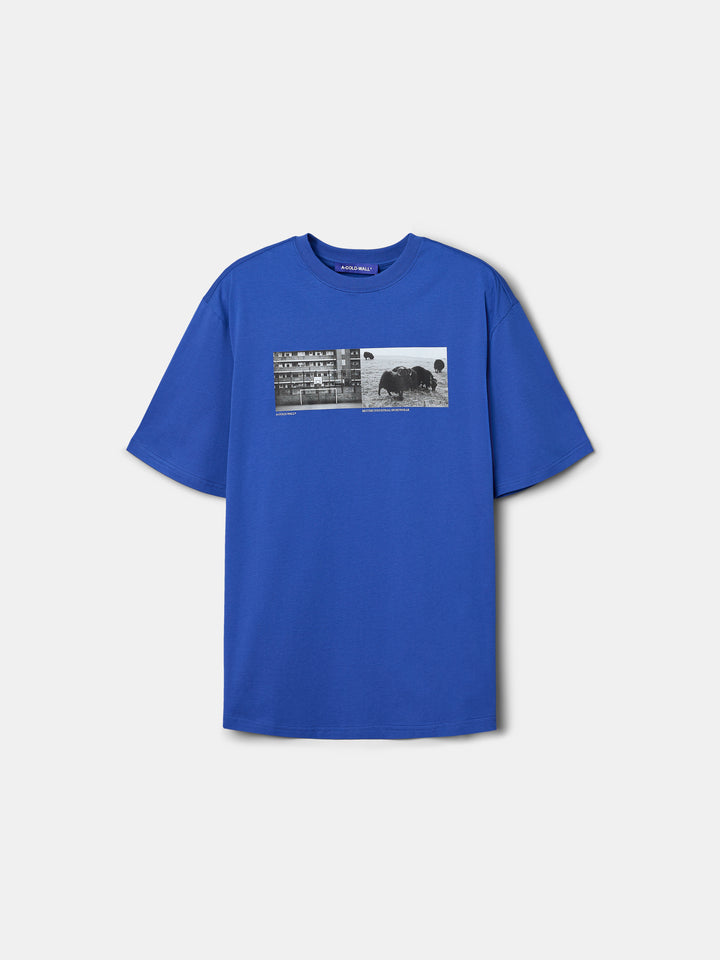 Fenn T-Shirt Bluist