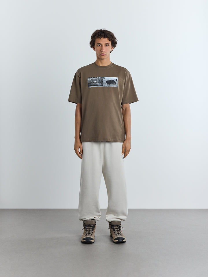 Fenn T-Shirt Earth